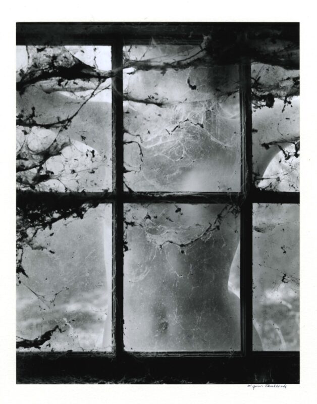 Wynn Bullock, Nude Behind Cobwebbed Window, 1955