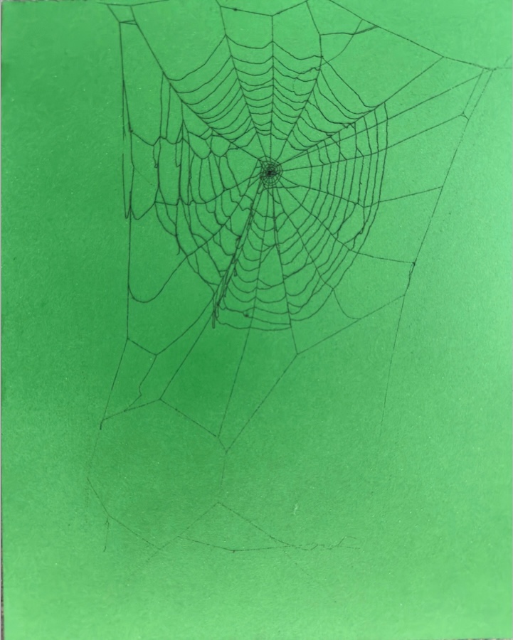 spider web on green background