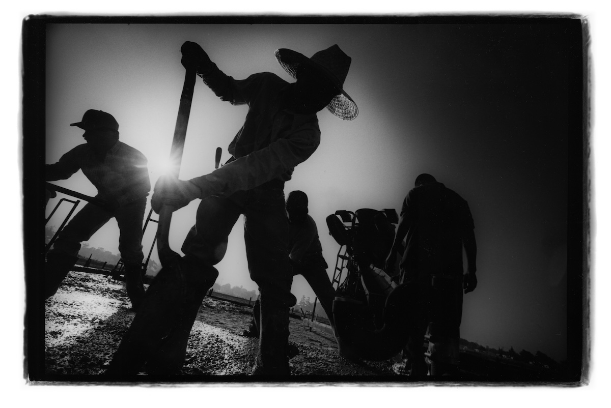 Workers digging.